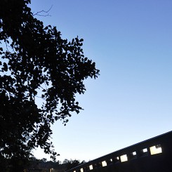 jena_03a_col.jpg
